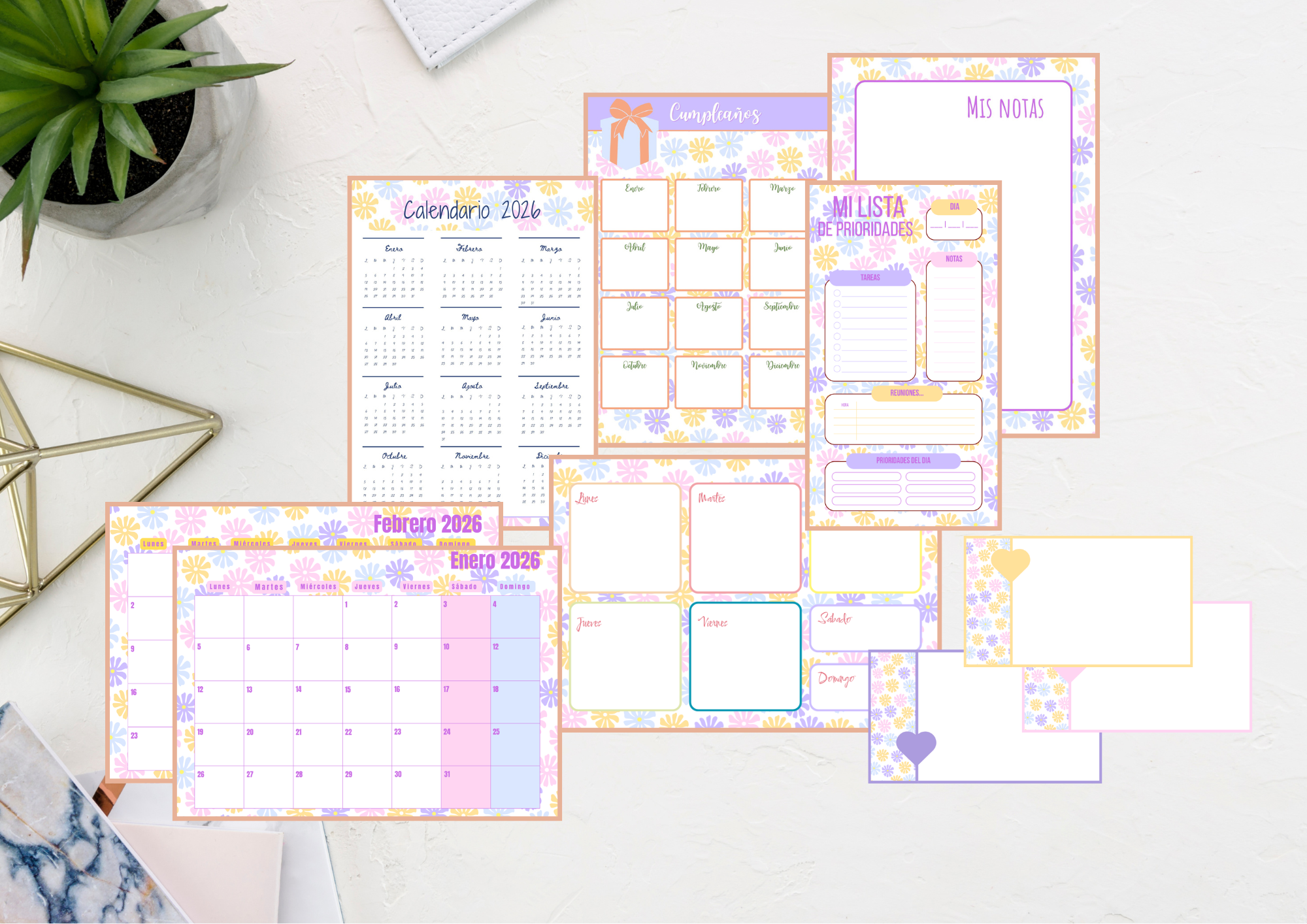 PACK COQUELICOT 2026 "FLEUR VIOLETTE"